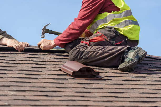 Best Roof Gutter Cleaning  in Gregory, SD