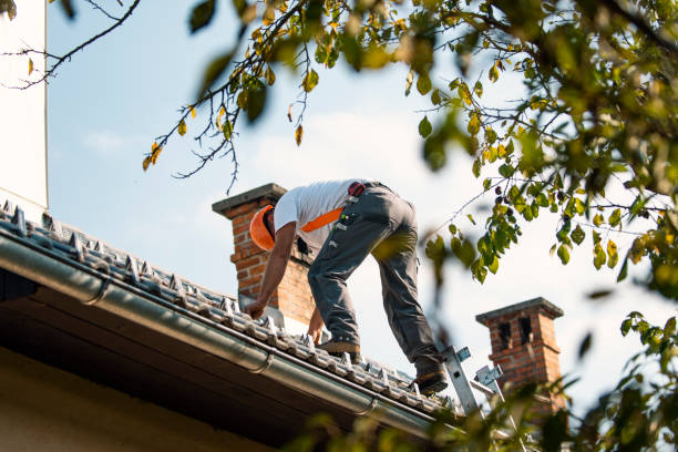 Best Emergency Roof Repair  in Gregory, SD